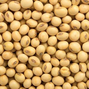 Non GMO Soya Beans for Sale