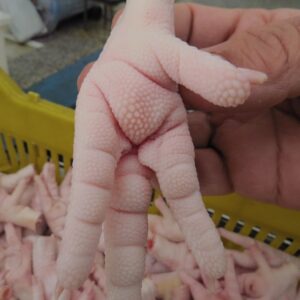 Chicken Feet for Sale