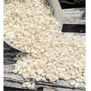 White Corn for Animal Feed