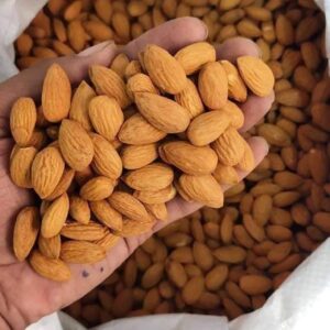 Almond Nuts for Sale