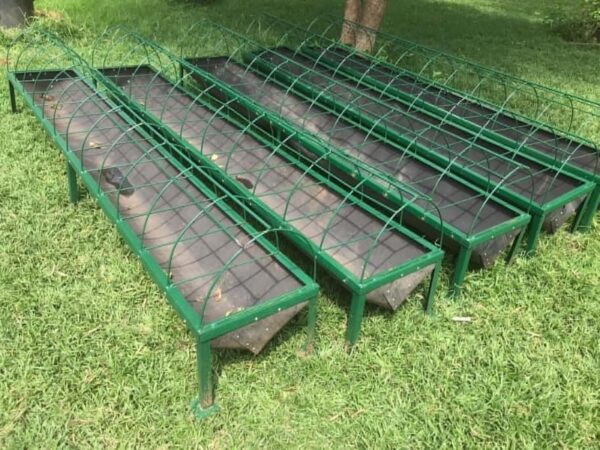 Animal Feed for Sale