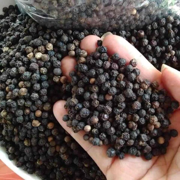 Black Pepper for Sale