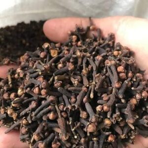 Cloves for Sale