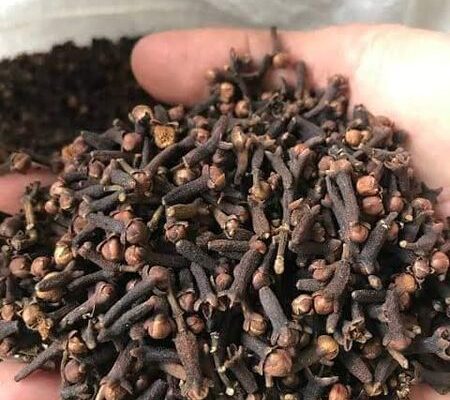 Cloves for Sale, Brazil Cloves Exporters, Exportateurs de clous de girofle du Brésil, Exportadores de cravo-da-índia do Brasil, 巴西丁香出口商, Exportadores de clavo de olor de Brasil, مصدرو القرنفل من البرازيل
