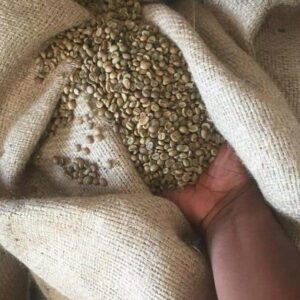 Coffee Beans for Sale