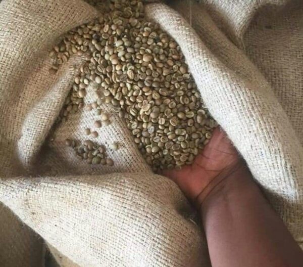 Coffee Beans for Sale
