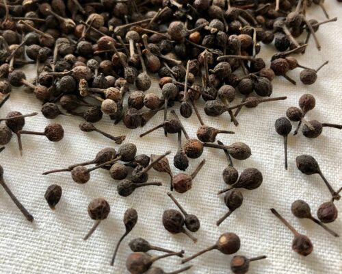 Cubeb Pepper for Sale, Brazil Cubeb Pepper Exporters, Exportateurs de poivre cubèbe du Brésil, Exportadores de pimenta cubeba do Brasil, 巴西尾胡椒出口商, Exportadores de pimienta cubeba de Brasil, مصدرو فلفل الكوبيبة من البرازيل