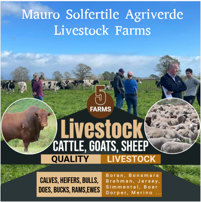 Masolagriverde Livestock Trans