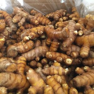 Organic Turmeric for Sale