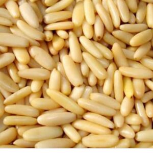 Pine Nuts for Sale