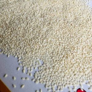 Sesame Seeds for Sale