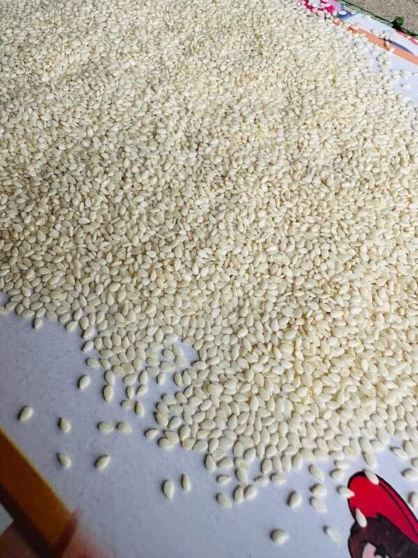 Sesame Seeds for Sale