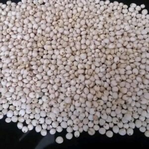 White and Red Sorghum