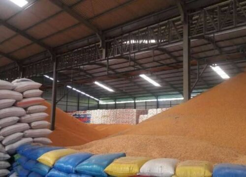 Yellow Corn for Animal Feed, Brazil Yellow Corn for Animal Feed Exporters, Exportateurs de maïs jaune pour alimentation animale du Brésil, Exportadores de milho amarelo para ração animal do Brasil, 巴西饲料用黄玉米出口商, Exportadores de maíz amarillo para alimentación animal de Brasil, مصدرو الذرة الصفراء لعلف الحيوانات من البرازيل Yellow Corn for Animal Feed, Brazil Yellow Corn for Animal Feed Exporters, Exportateurs de maïs jaune pour alimentation animale du Brésil, Exportadores de milho amarelo para ração animal do Brasil, 巴西饲料用黄玉米出口商, Exportadores de maíz amarillo para alimentación animal de Brasil, مصدرو الذرة الصفراء لعلف الحيوانات من البرازيل
